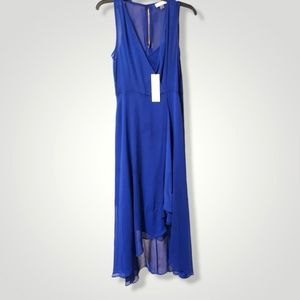 Calvin Klein Blue Dress